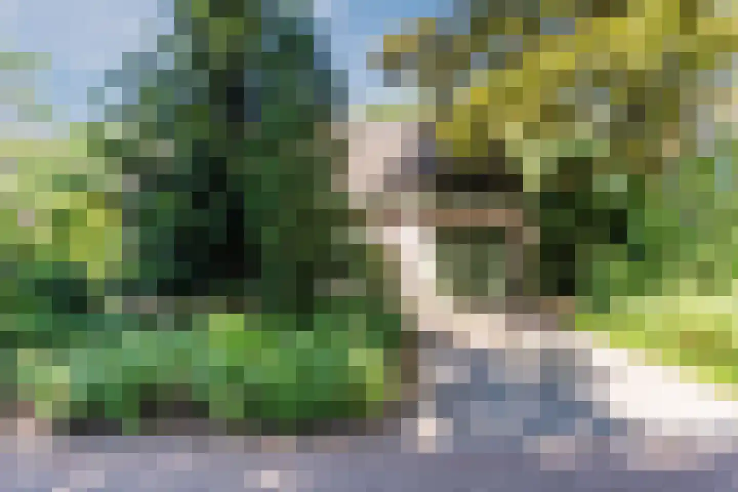 Sleedoorn 13 Geldrop thumbnail 48