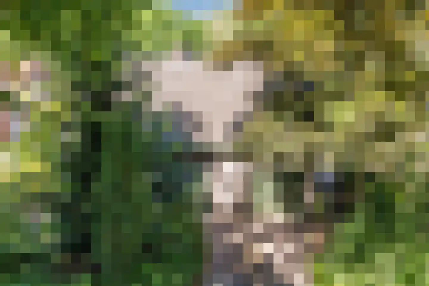 Sleedoorn 13 Geldrop thumbnail 49