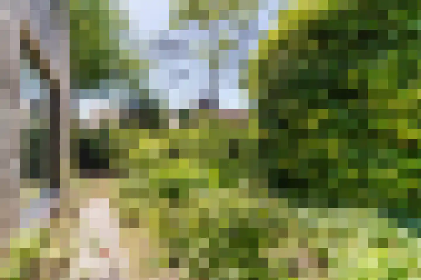 Sleedoorn 13 Geldrop thumbnail 51