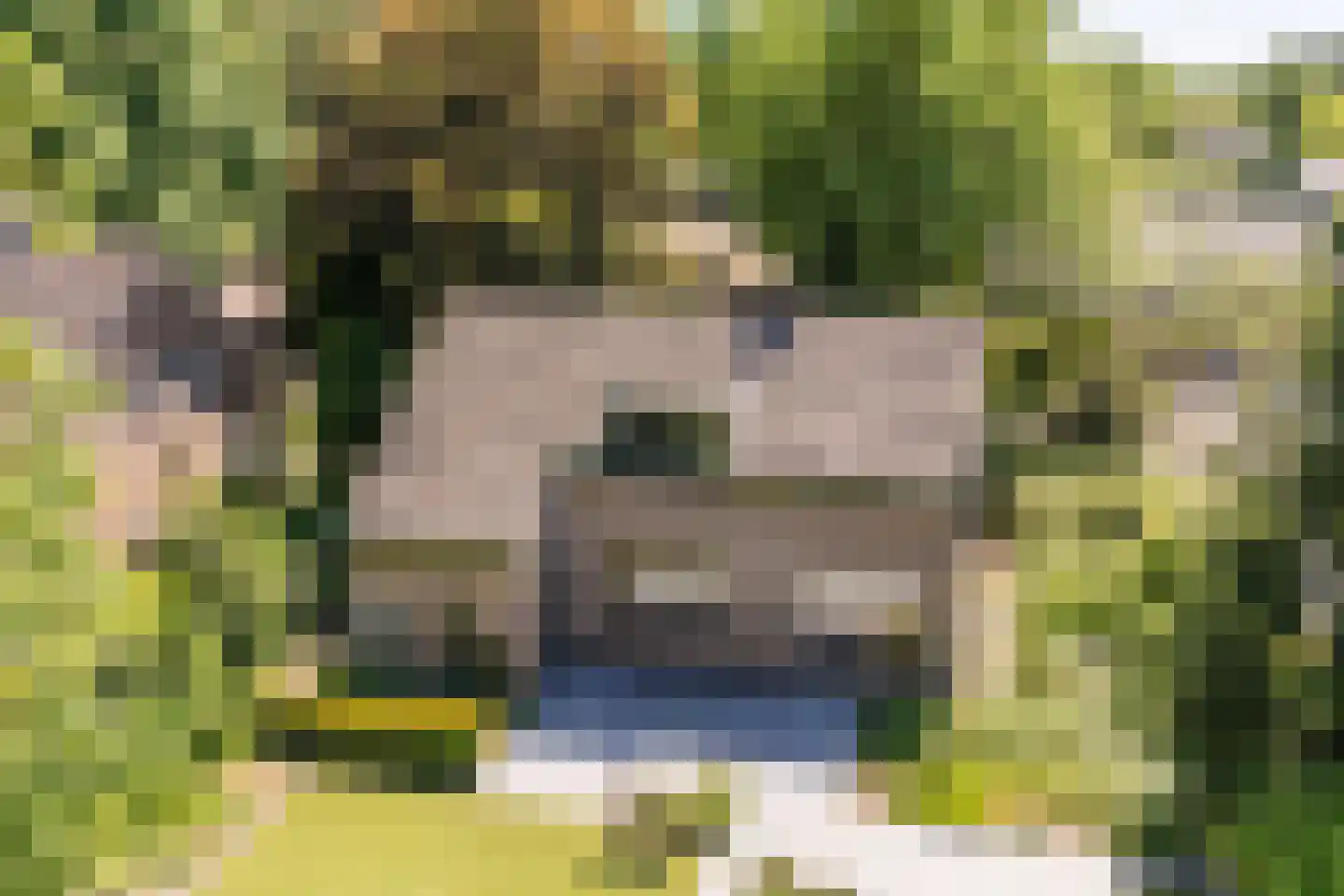 Sleedoorn 13 Geldrop thumbnail 52