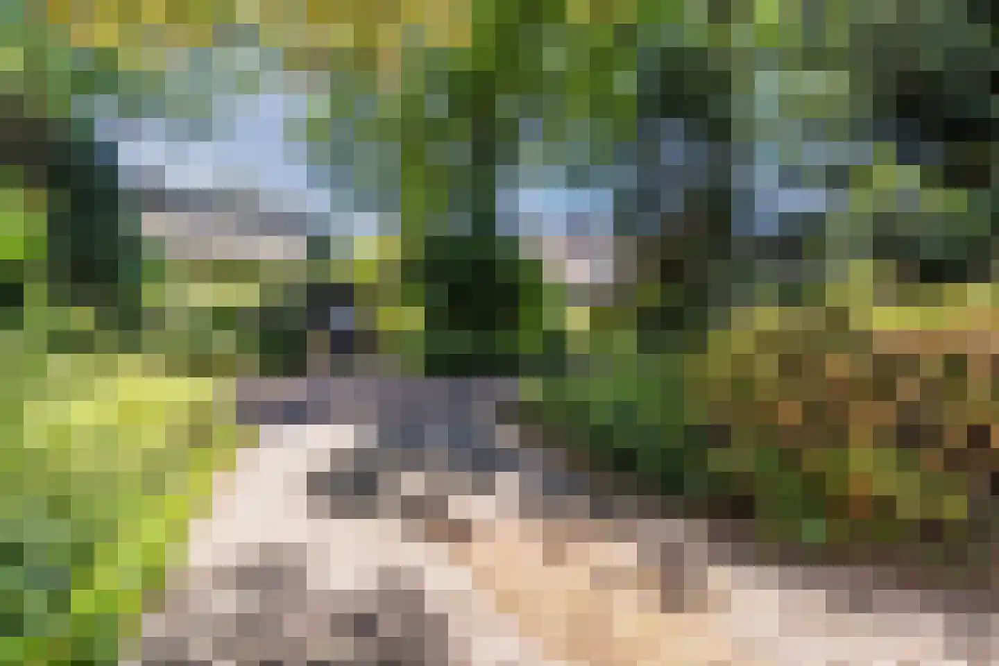 Sleedoorn 13 Geldrop thumbnail 55