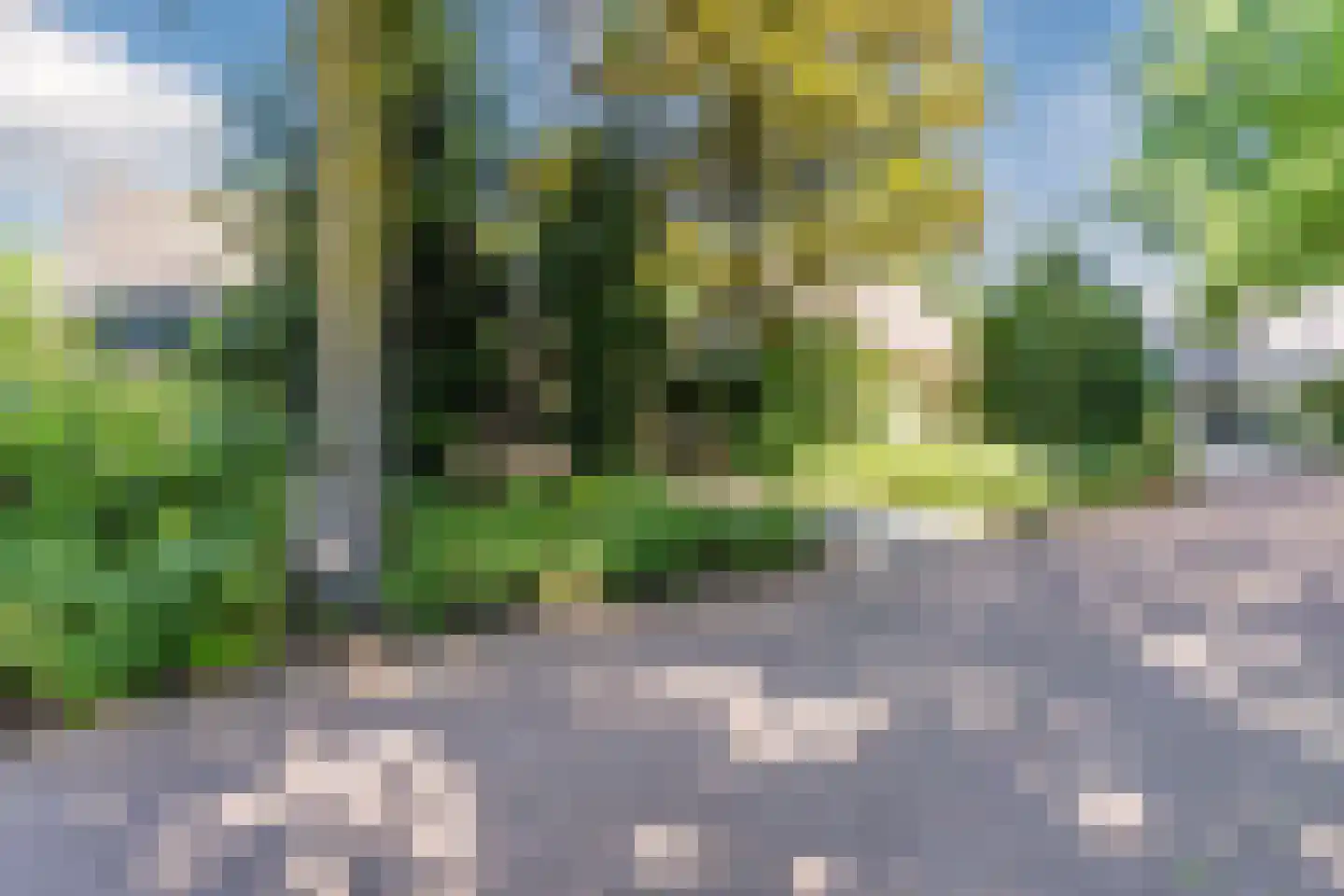 Sleedoorn 13 Geldrop thumbnail 56