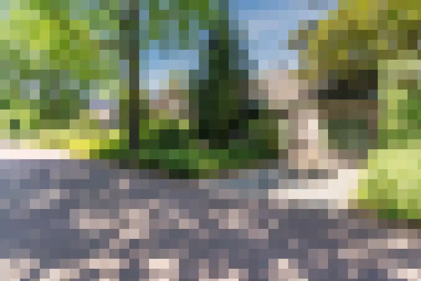 Sleedoorn 13 Geldrop thumbnail 57