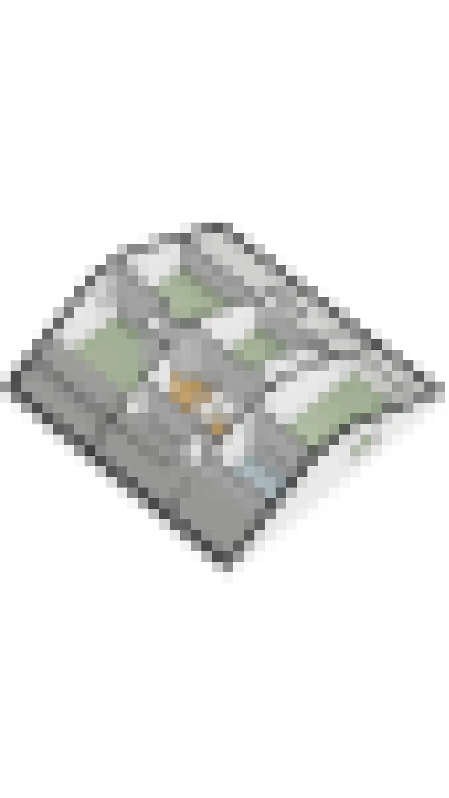Sleedoorn 13 Geldrop thumbnail 64