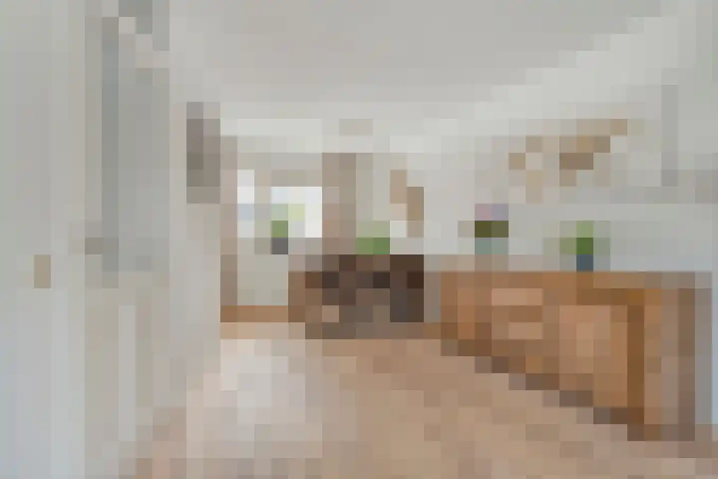 Sleedoorn 14 Coevorden thumbnail 10