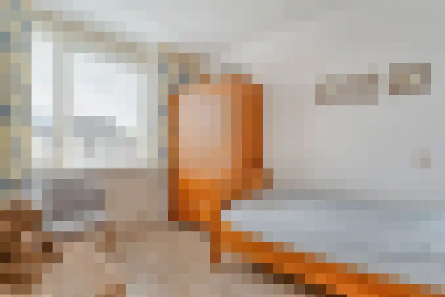 Sleedoorn 14 Coevorden thumbnail 21