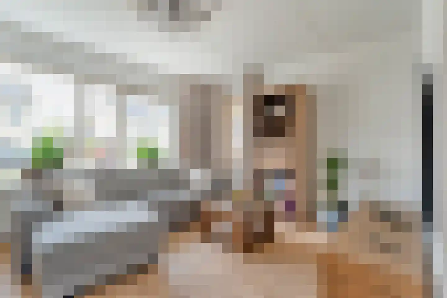 Sleedoorn 14 Coevorden thumbnail 8