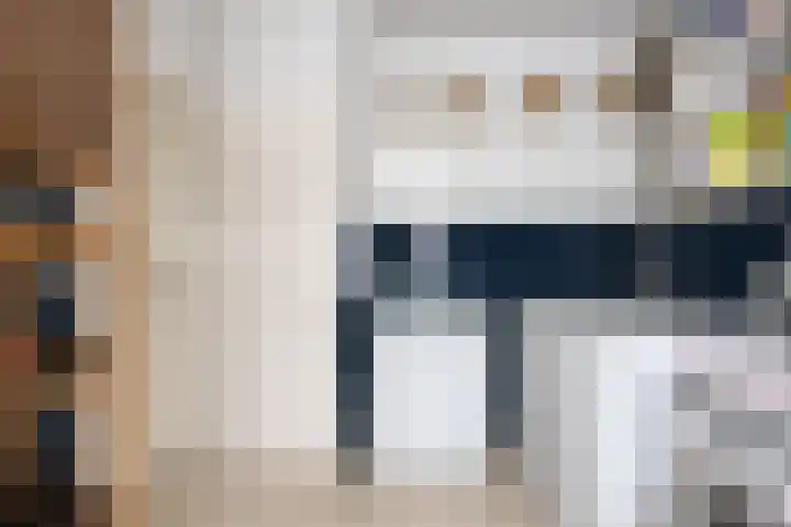 Sleedoorn 14 Geldrop thumbnail 35