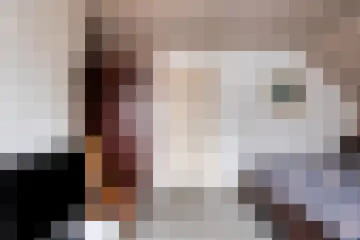 Sleedoorn 14 Geldrop thumbnail 46