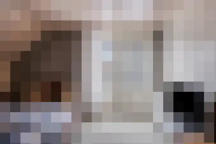 Sleedoorn 14 Geldrop thumbnail 47