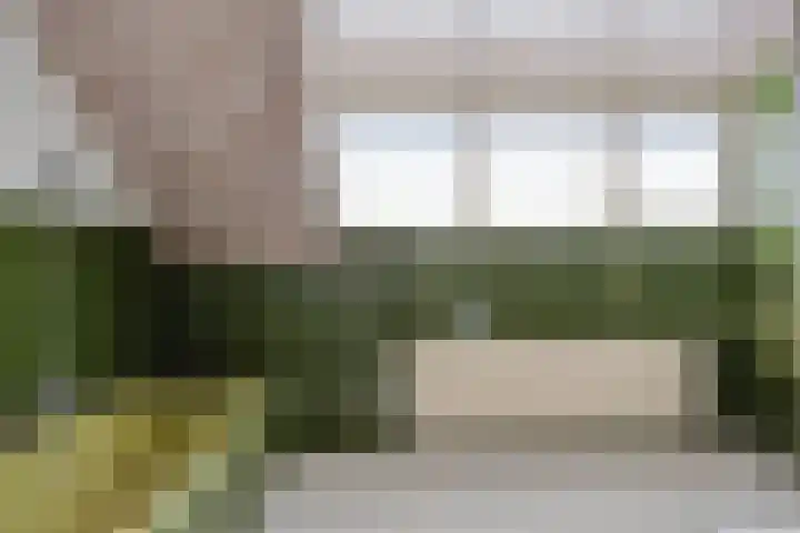 Sleedoorn 14 Geldrop thumbnail 49