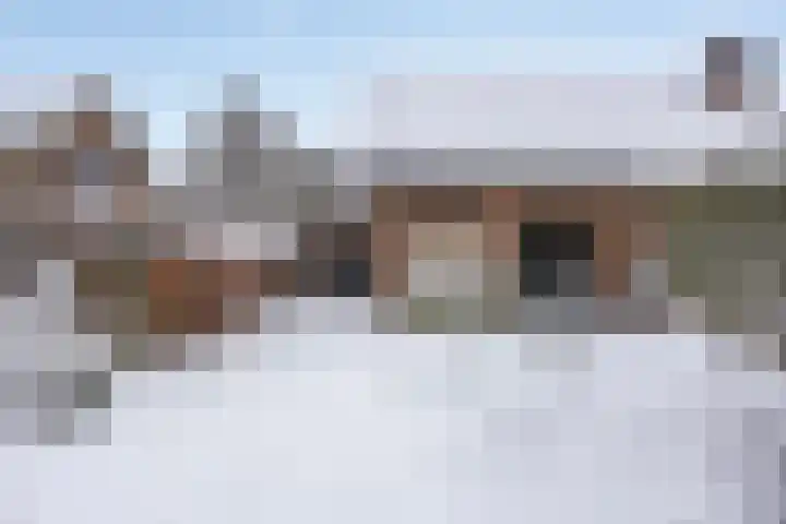Sleedoorn 14 Geldrop thumbnail 5