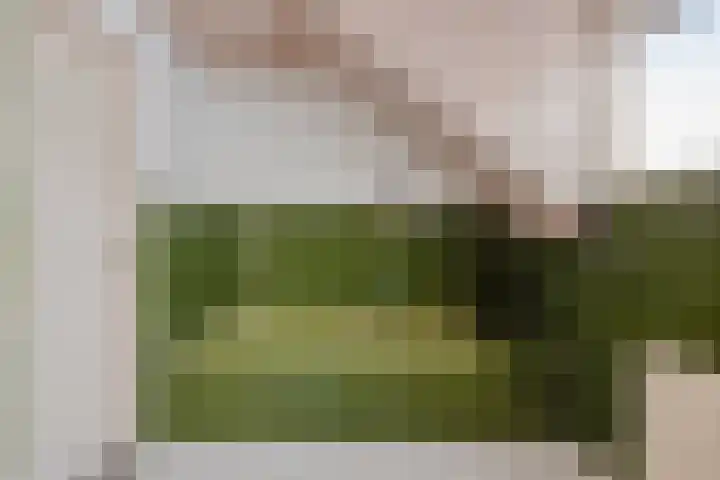 Sleedoorn 14 Geldrop thumbnail 51