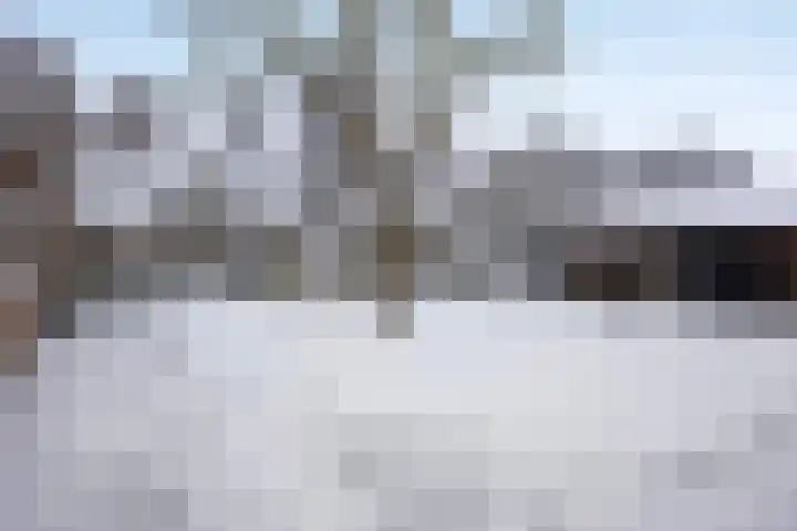 Sleedoorn 14 Geldrop thumbnail 55