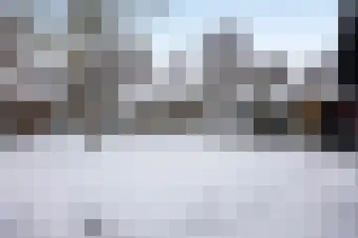Sleedoorn 14 Geldrop thumbnail 56