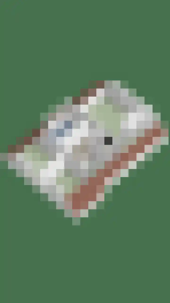 Sleedoorn 14 Geldrop thumbnail 68