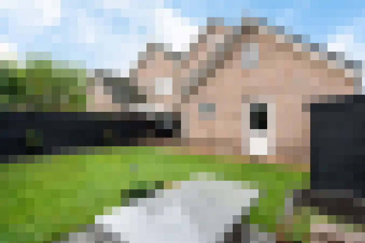 Sleedoorn 16 Giethoorn thumbnail 44