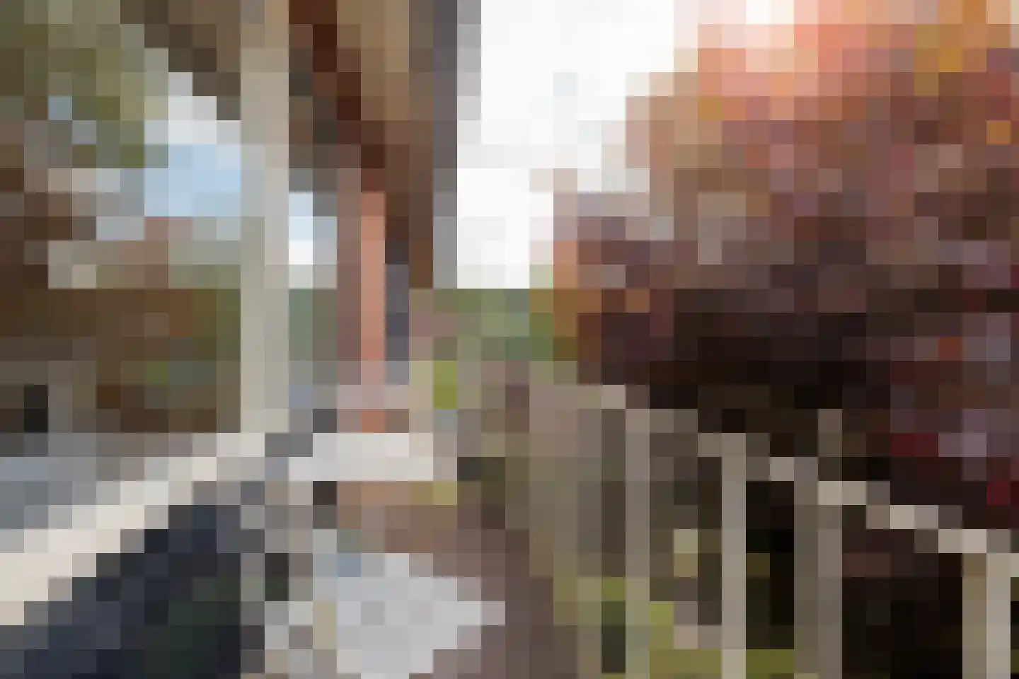 Sleedoorn 17 Emmen thumbnail 27