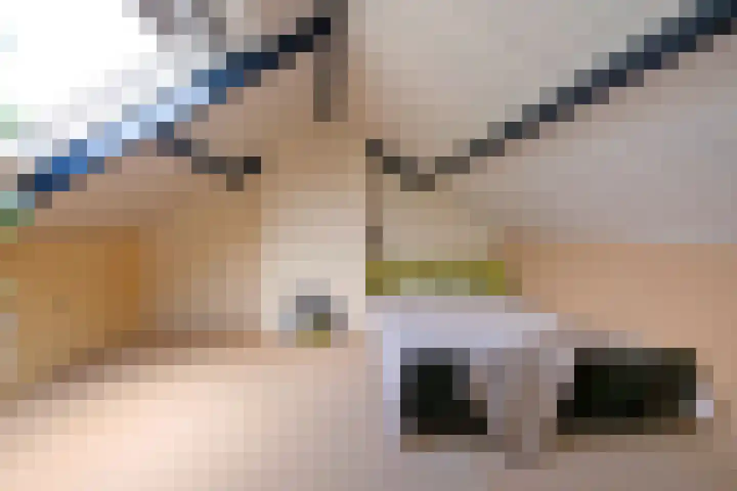 Sleedoorn 17 Emmen thumbnail 36