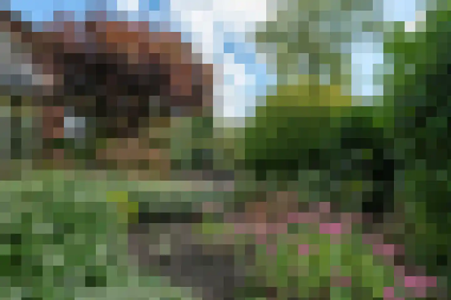 Sleedoorn 17 Emmen thumbnail 4