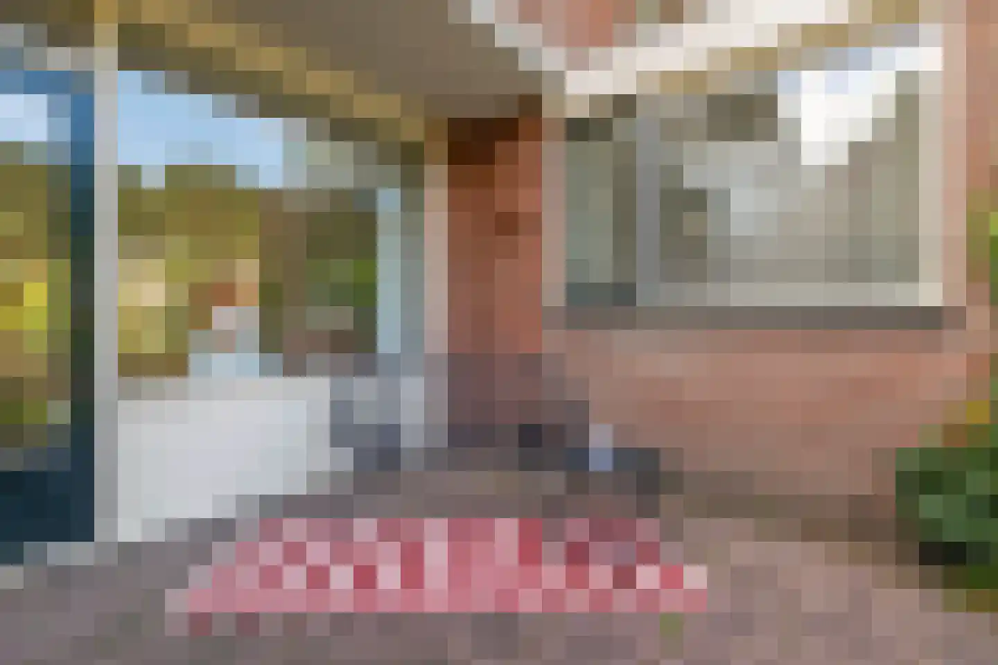 Sleedoorn 17 Emmen thumbnail 41
