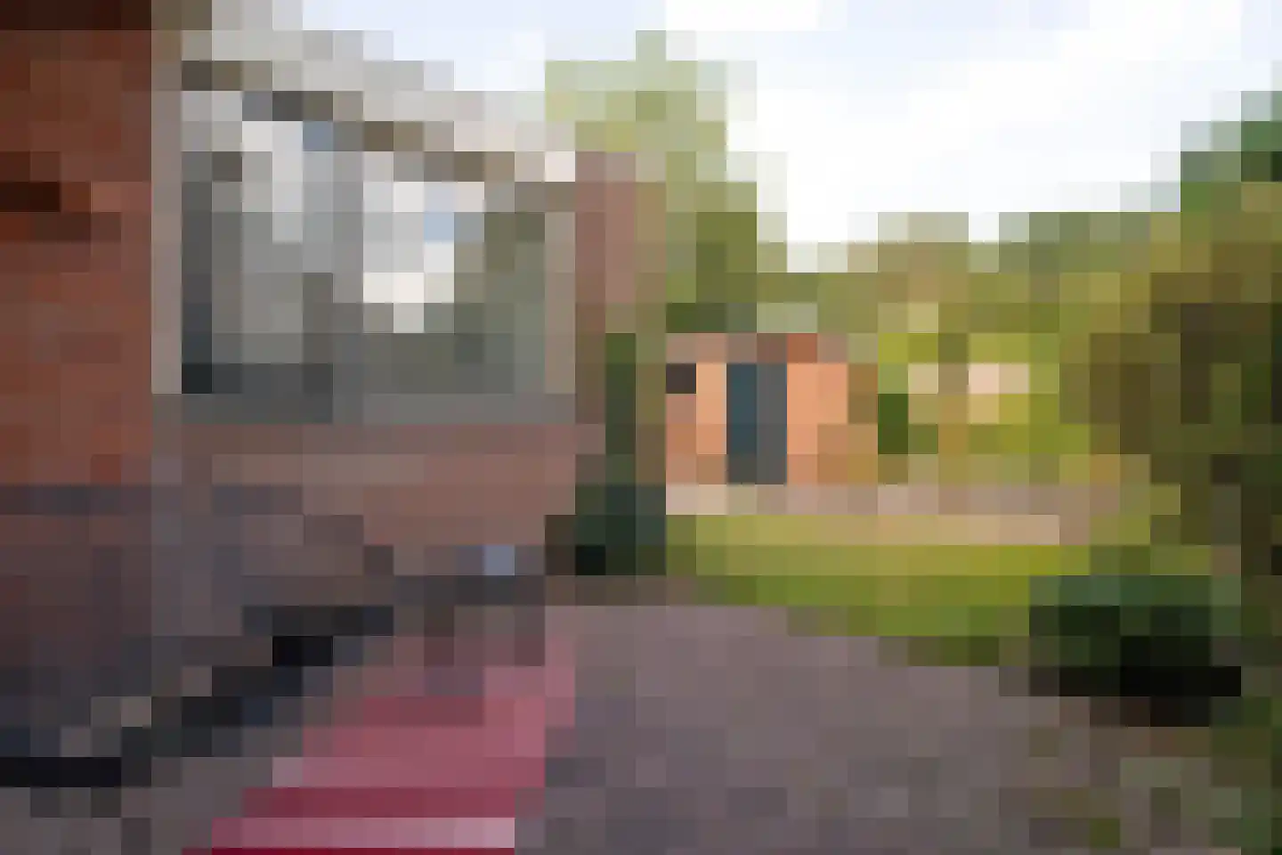 Sleedoorn 17 Emmen thumbnail 42