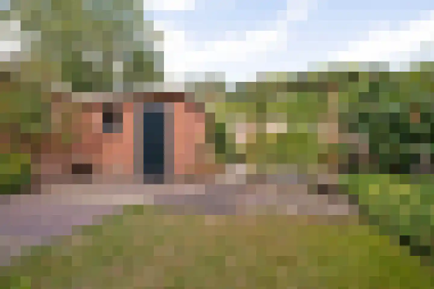Sleedoorn 17 Emmen thumbnail 43