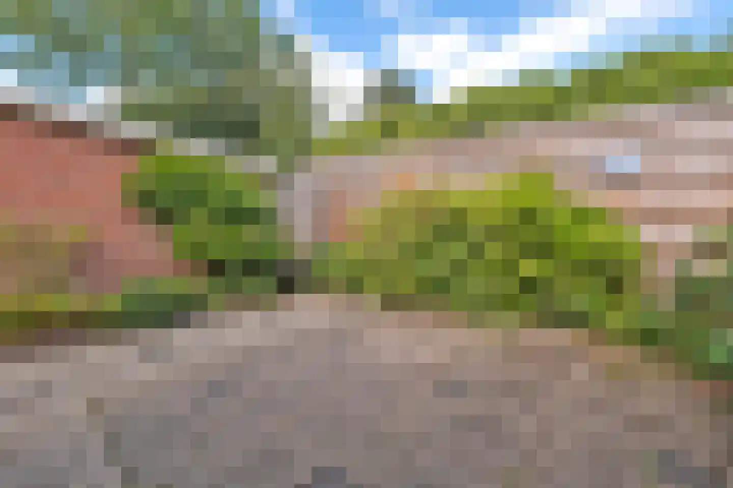 Sleedoorn 17 Emmen thumbnail 45