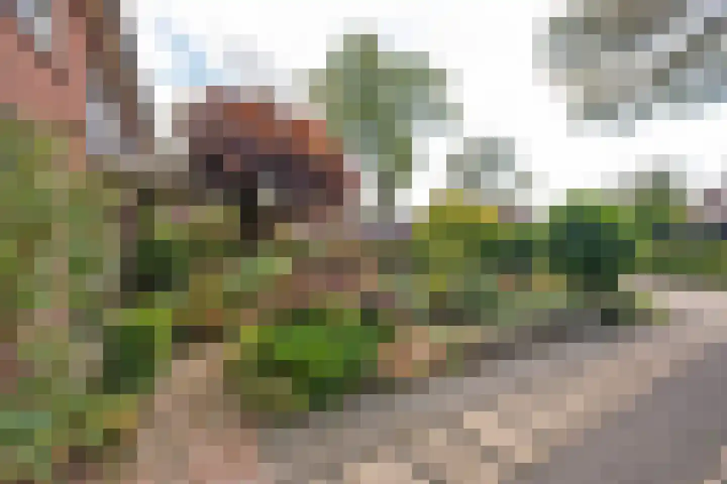 Sleedoorn 17 Emmen thumbnail 53