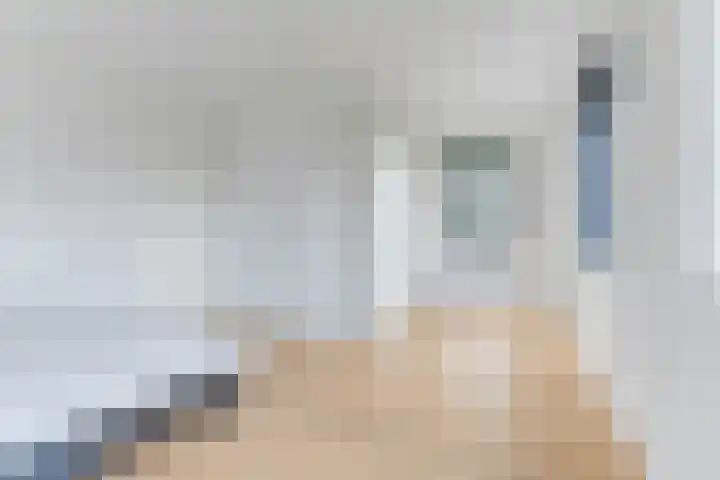 Sleedoorn 17 Heiloo thumbnail 38