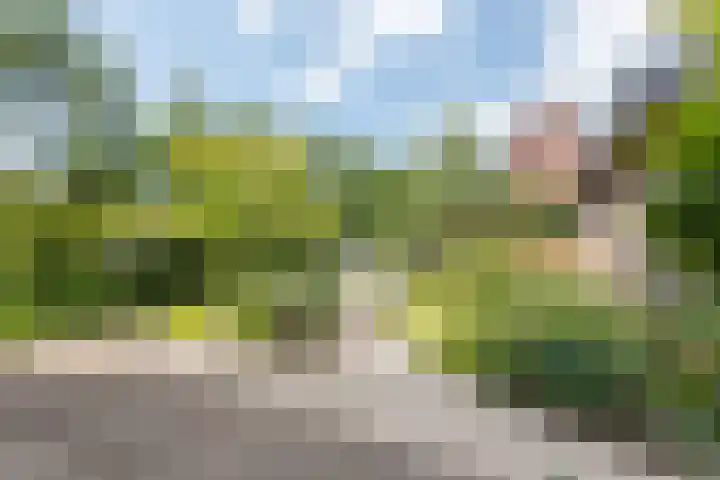 Sleedoorn 17 Heiloo thumbnail 54