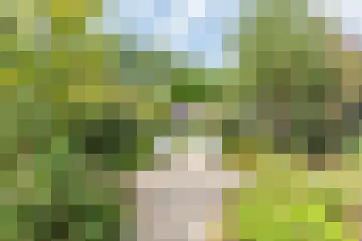 Sleedoorn 17 Heiloo thumbnail 55