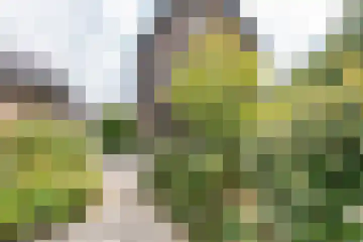 Sleedoorn 17 Heiloo thumbnail 59