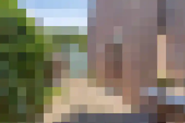 Sleedoorn 21 Emmen thumbnail 11