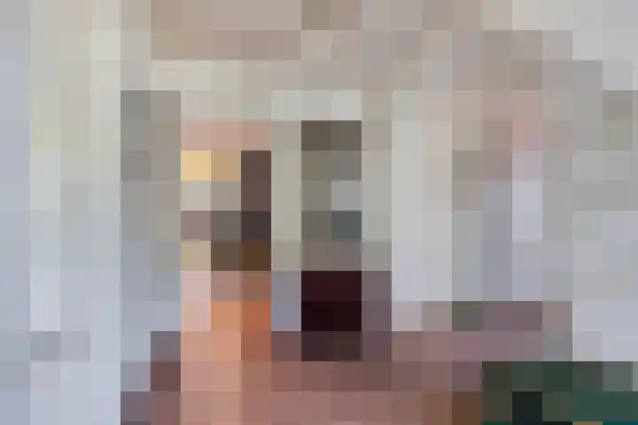 Sleedoorn 21 Emmen thumbnail 13