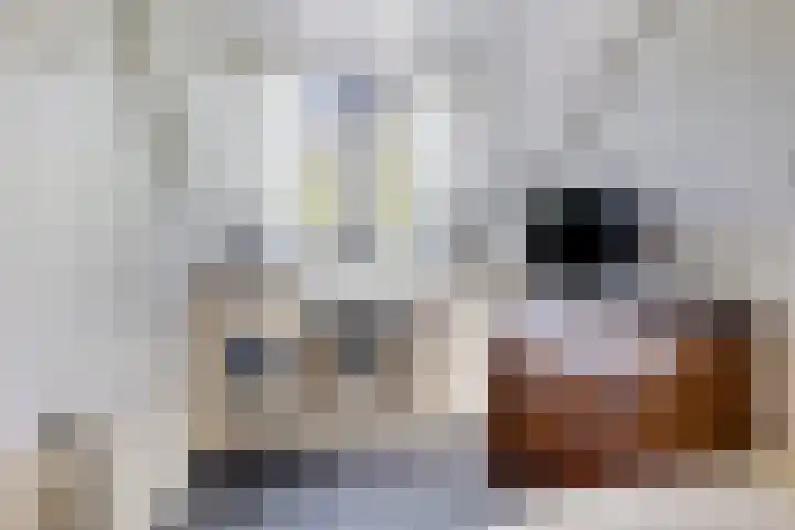 Sleedoorn 21 Emmen thumbnail 24