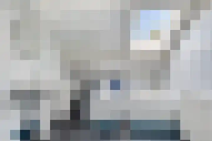 Sleedoorn 21 Emmen thumbnail 27