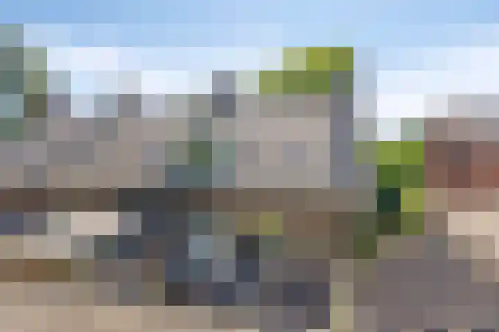 Sleedoorn 21 Emmen thumbnail 34