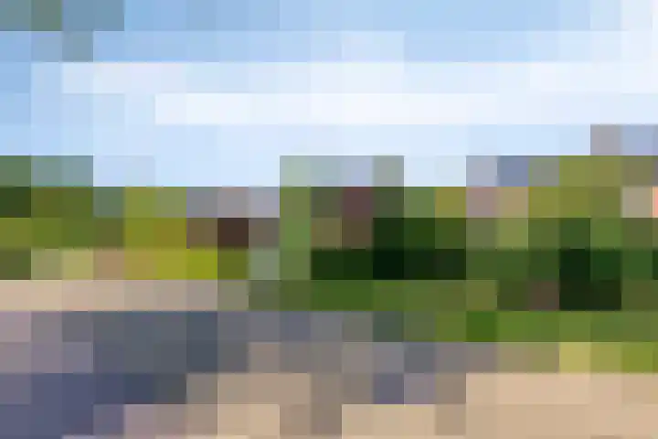 Sleedoorn 21 Emmen thumbnail 4