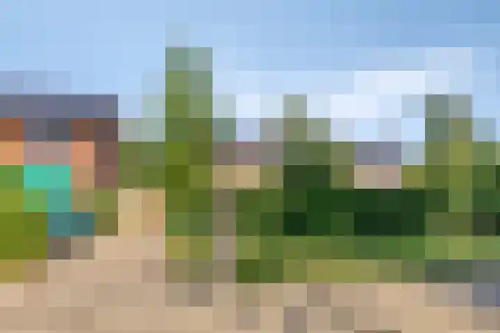 Sleedoorn 21 Emmen thumbnail 5