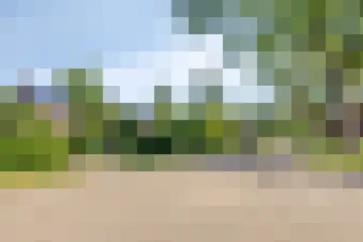Sleedoorn 21 Emmen thumbnail 6