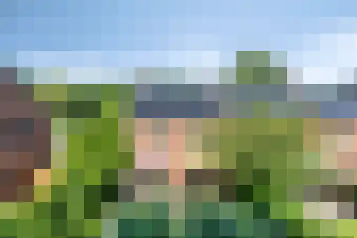 Sleedoorn 21 Emmen thumbnail 8