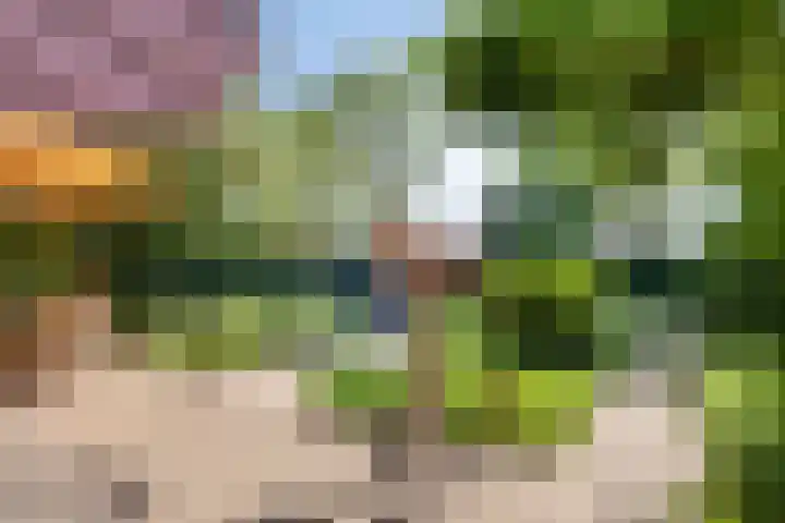Sleedoorn 21 Emmen thumbnail 9