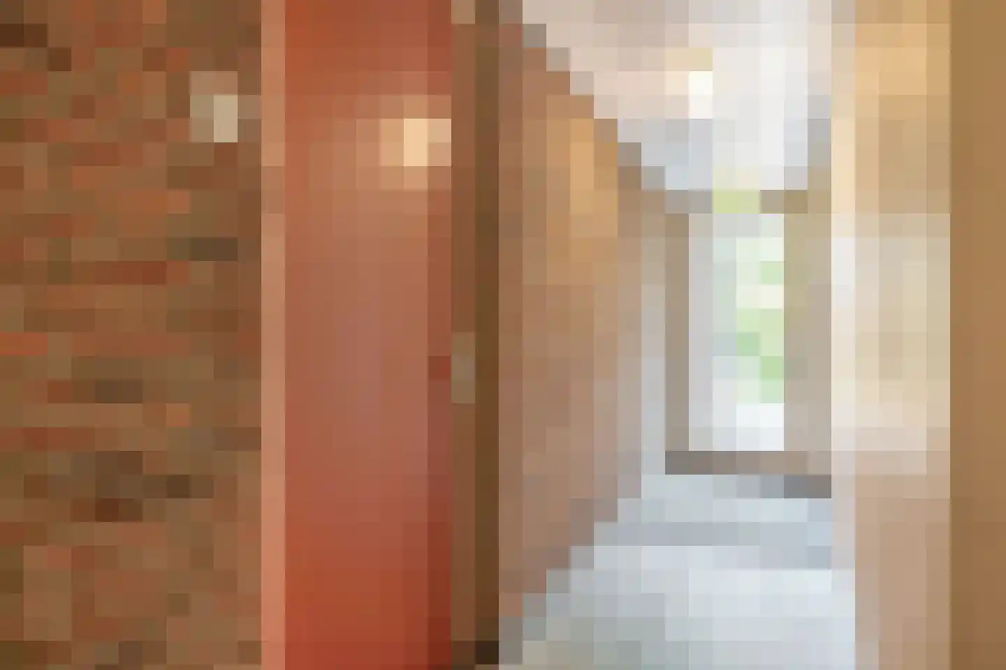 Sleedoorn 23 Bergambacht thumbnail 11