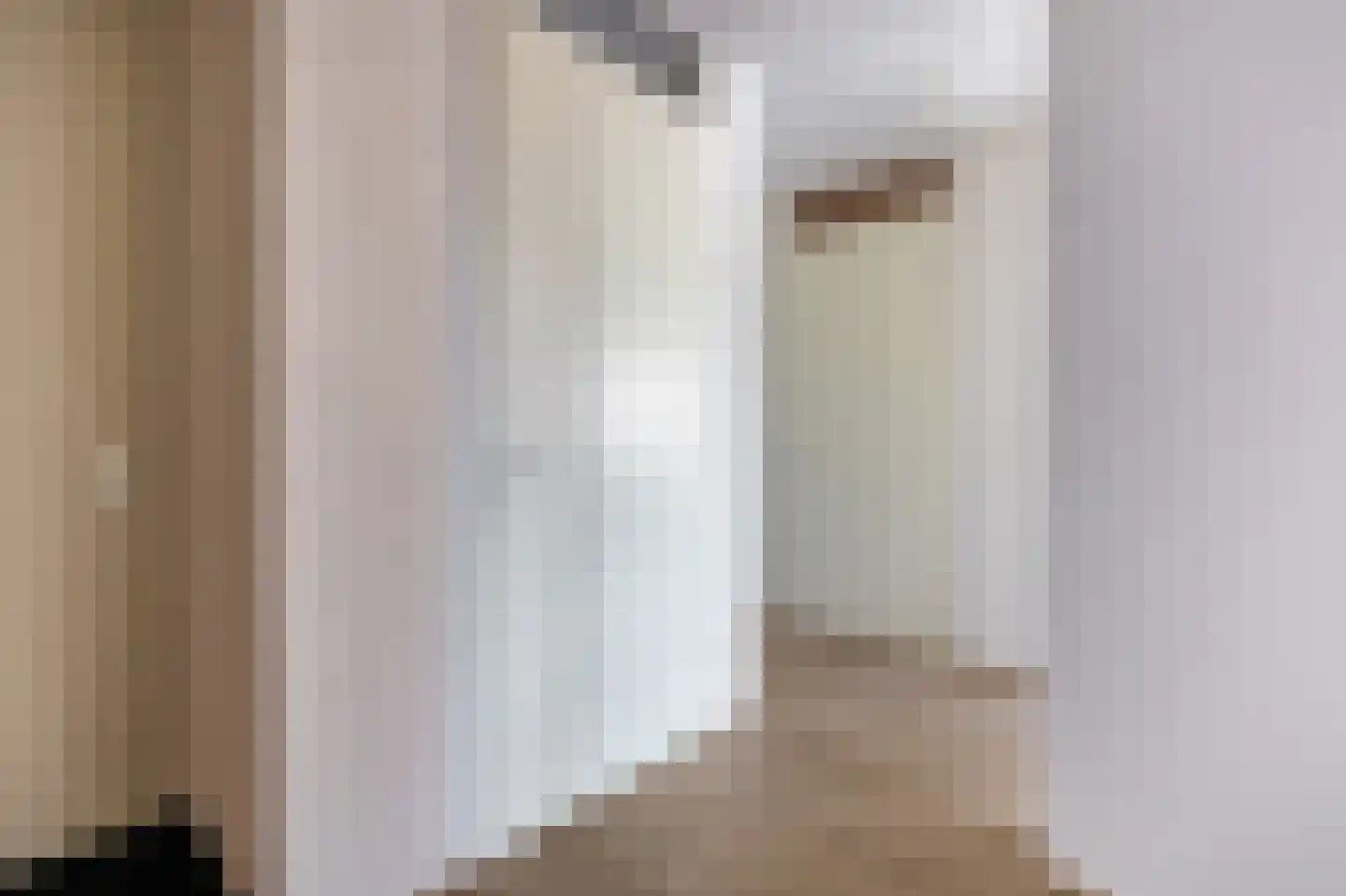 Sleedoorn 23 Bergambacht thumbnail 12