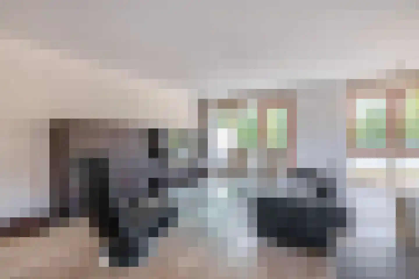 Sleedoorn 23 Bergambacht thumbnail 15