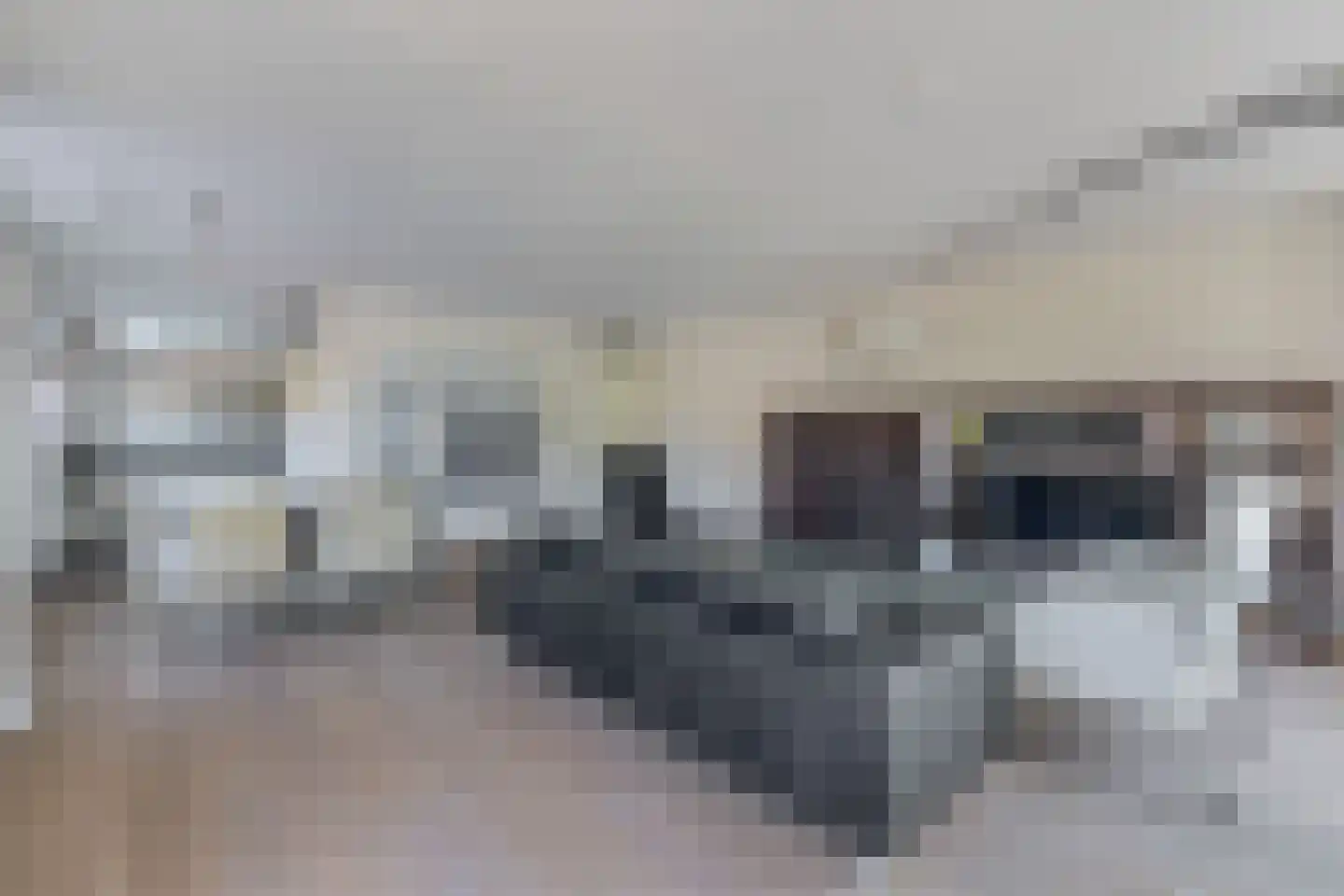 Sleedoorn 23 Bergambacht thumbnail 16
