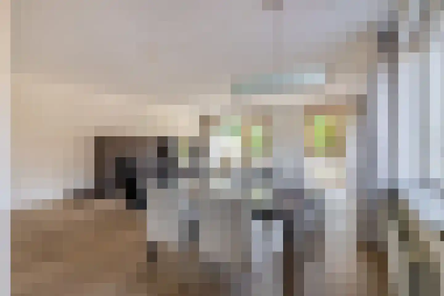 Sleedoorn 23 Bergambacht thumbnail 20