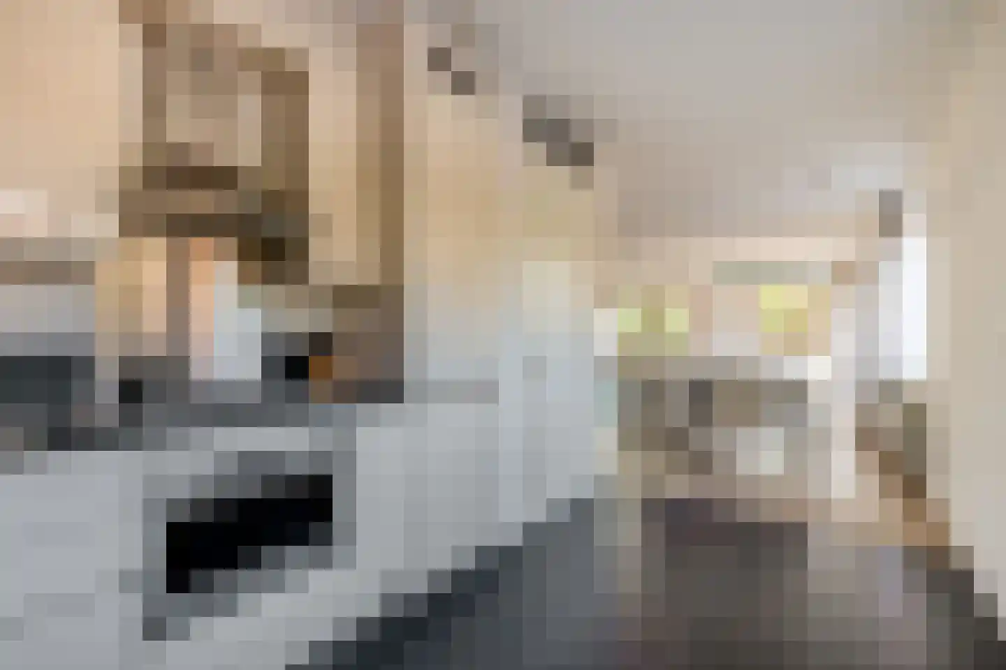 Sleedoorn 23 Bergambacht thumbnail 23