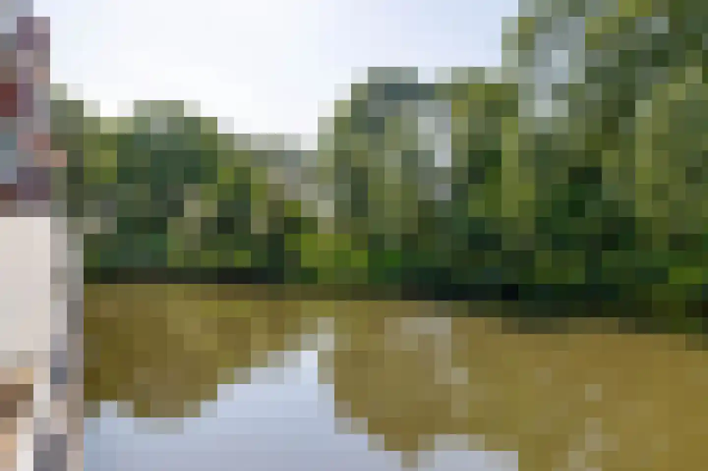 Sleedoorn 23 Bergambacht thumbnail 27
